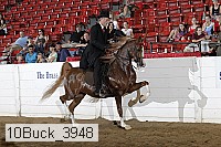 10buck_3948 proof
