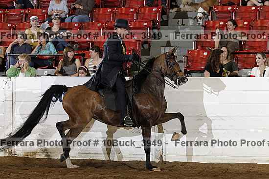 Proof 10buck_3949