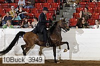 10buck_3949 proof