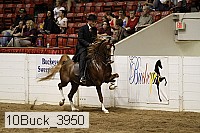 10buck_3950 proof