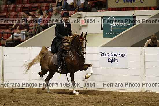 Proof 10buck_3951