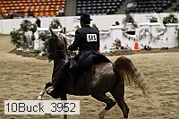 10buck_3952 proof