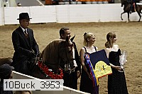10buck_3953 proof