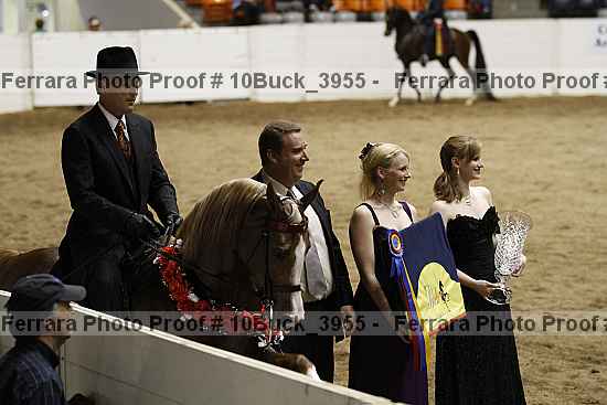 Proof 10buck_3955
