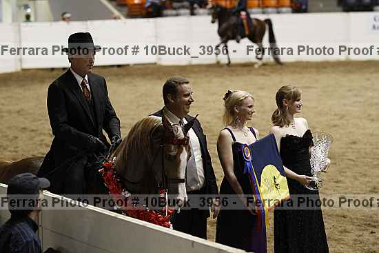 Proof 10buck_3956