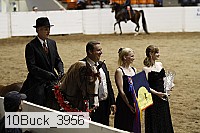10buck_3956 proof