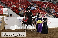 10buck_3958 proof