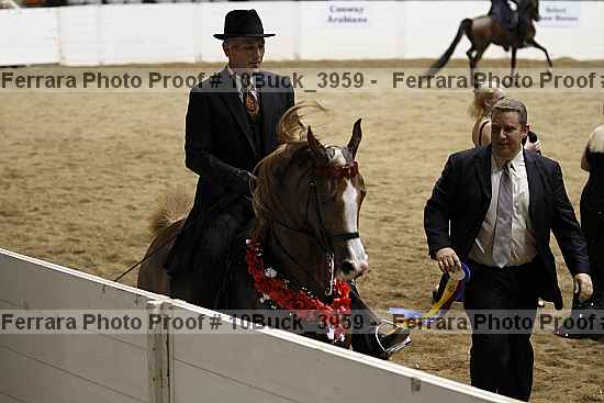 Proof 10buck_3959