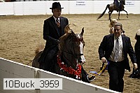 10buck_3959 proof