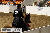 10buck_3960 proof