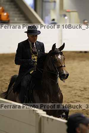 Proof 10buck_3961