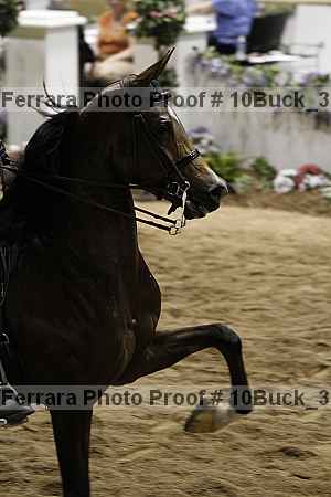 Proof 10buck_3962