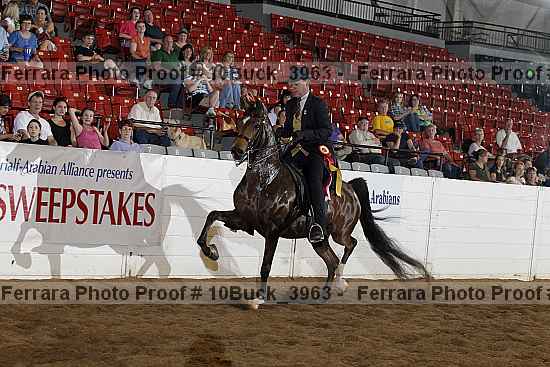 Proof 10buck_3963