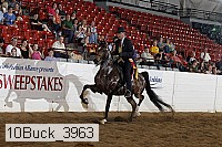 10buck_3963 proof