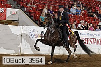 10buck_3964 proof