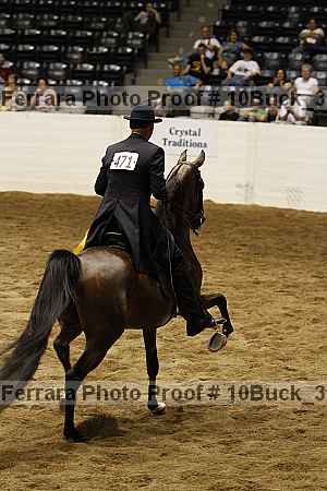 Proof 10buck_3965