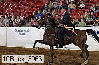 10buck_3966 proof