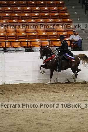 Proof 10buck_3967