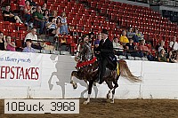 10buck_3968 proof
