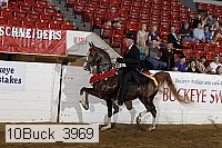 10buck_3969 proof