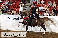10buck_3970 proof
