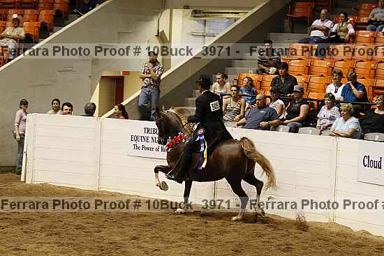 Proof 10buck_3971