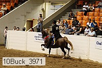 10buck_3971 proof