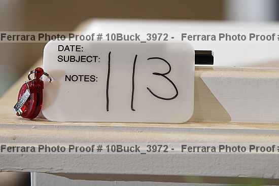 Proof 10buck_3972