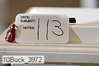 10buck_3972 proof