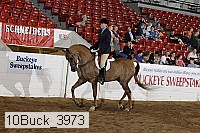 10buck_3973 proof