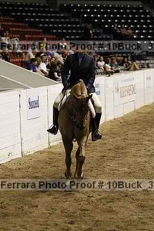 Proof 10buck_3974