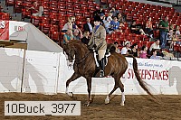 10buck_3977 proof
