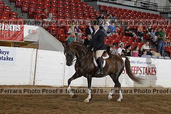 Proof 10buck_3979