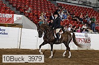 10buck_3979 proof