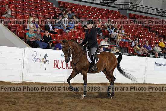 Proof 10buck_3983