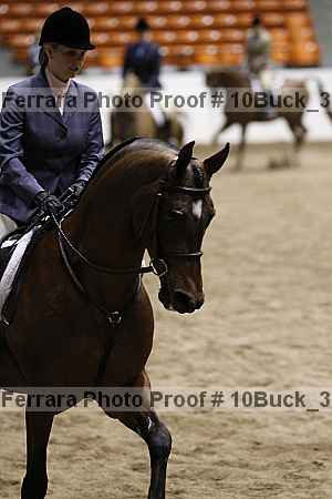 Proof 10buck_3990