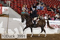 10buck_3991 proof