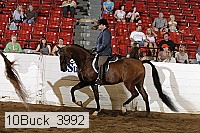 10buck_3992 proof