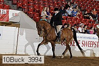 10buck_3994 proof