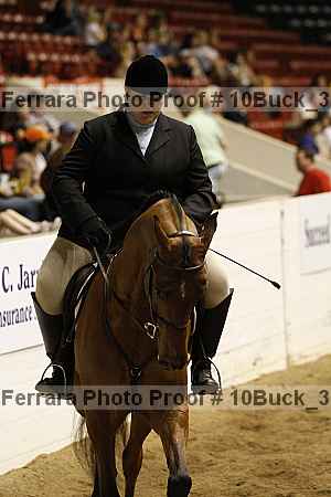 Proof 10buck_3995