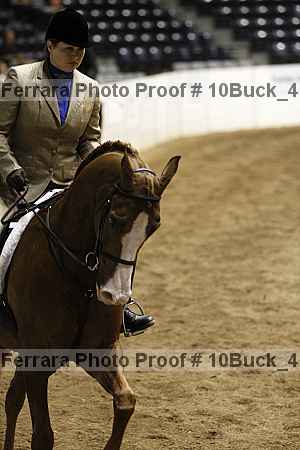 Proof 10buck_4005