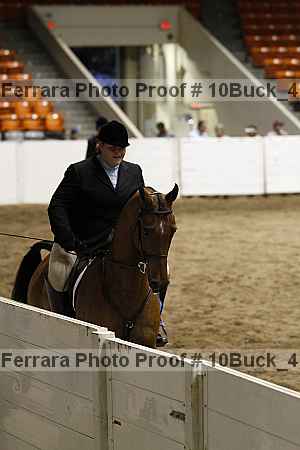 Proof 10buck_4018
