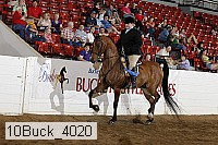 10buck_4020 proof