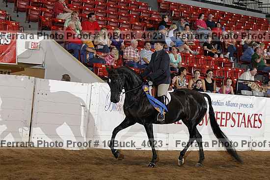 Proof 10buck_4023