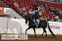 10buck_4023 proof