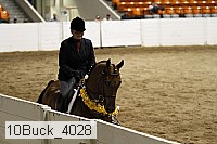 10buck_4028 proof