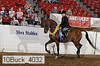 10buck_4032 proof