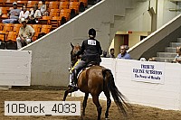 10buck_4033 proof
