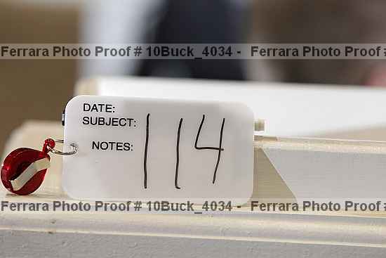 Proof 10buck_4034