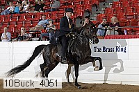 10buck_4051 proof